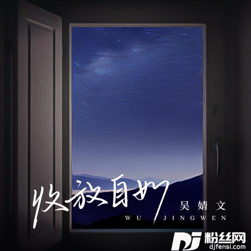 收放自如DJ沈念版的专辑