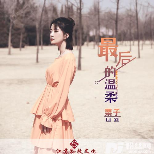 最后的温柔DJ版