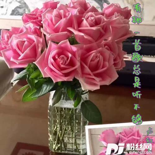 有那一首歌总是听不够