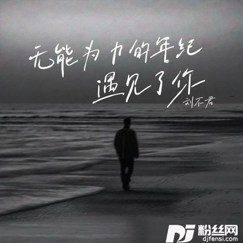 无能为力的年纪遇见了你合唱版的专辑
