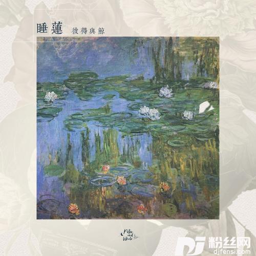 睡莲