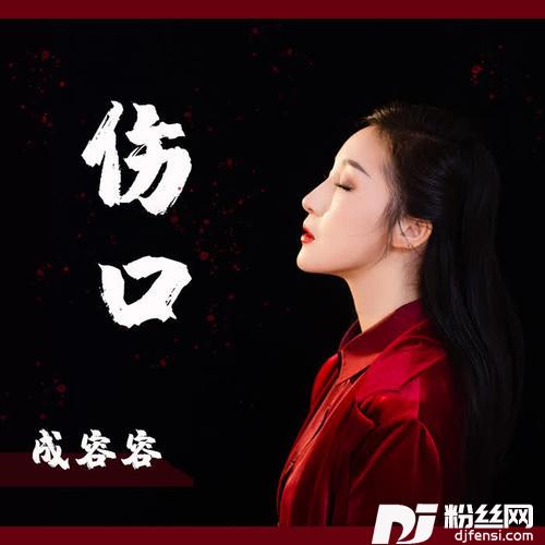 伤口DJ版