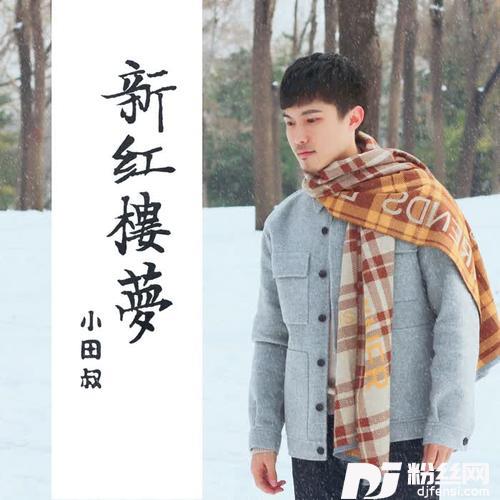新红楼梦的专辑