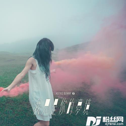 我只是你的梦境