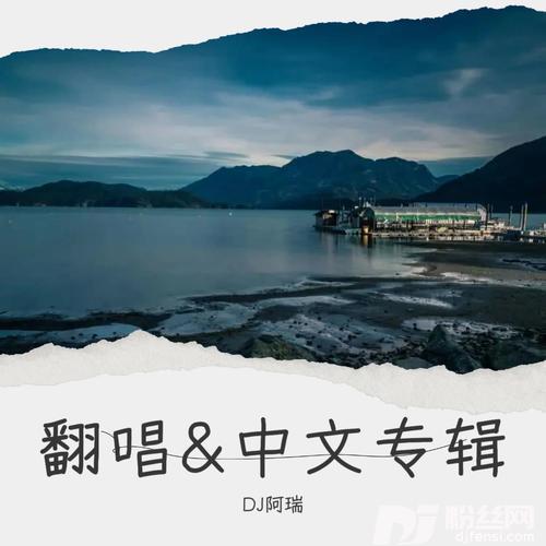 大头皮鞋cover:韩晓的专辑