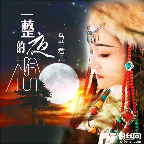 一整夜的想念DJ何鹏版