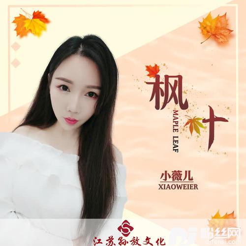 枫叶DJ版的专辑