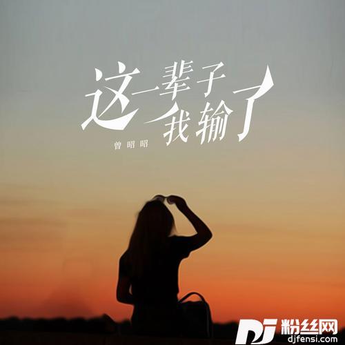 这一辈子我输了的专辑