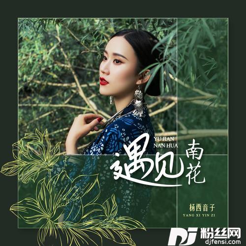 遇见南花的专辑