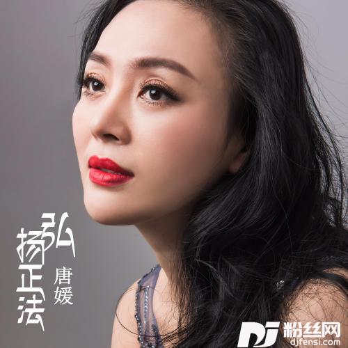 弘扬正法的专辑