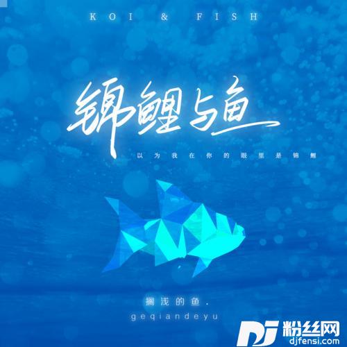 锦鲤与鱼