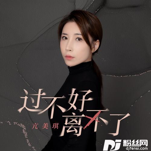 过不好离不了的专辑