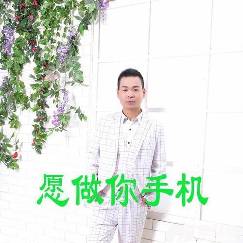 愿做你手机的专辑