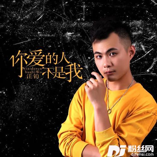 你爱的人不是我