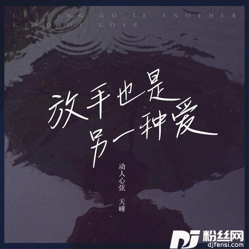 放手也是另一种爱DJAilward版