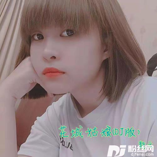 花城姑娘DJ版