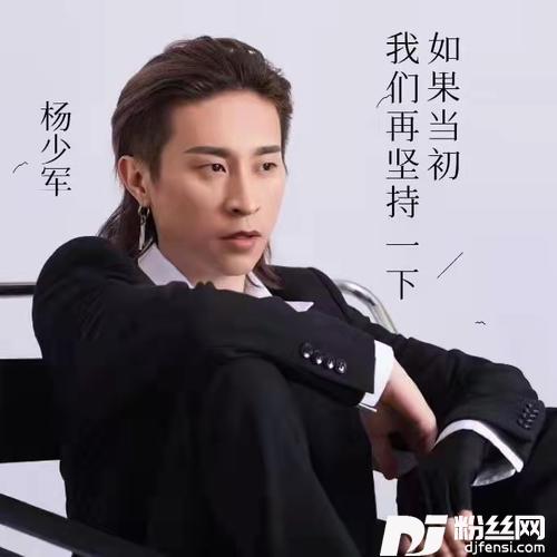 如果当初我们再坚持一下的专辑
