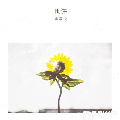也许