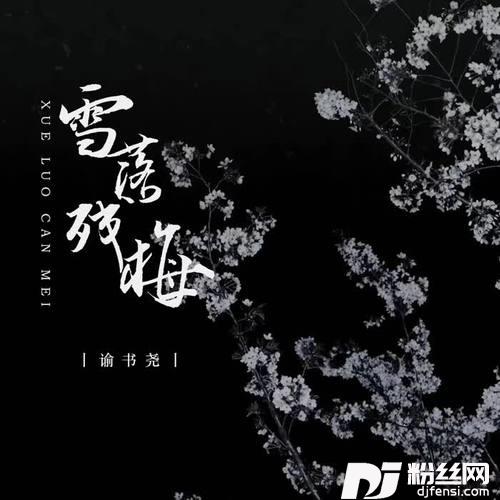 雪落残梅