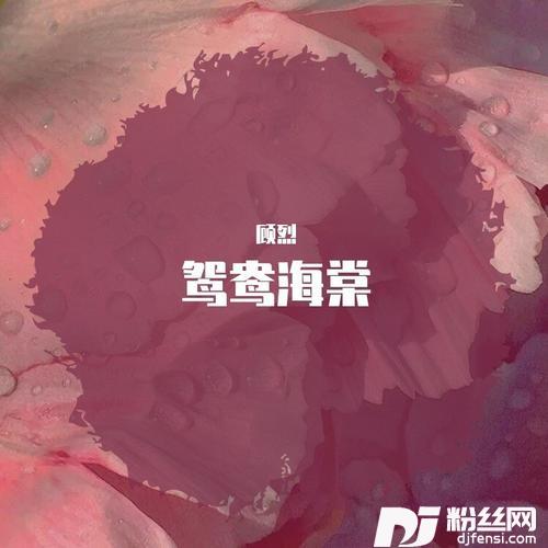 鸳鸯海棠cover:张晓涵的专辑