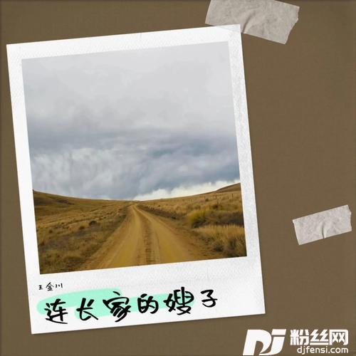 连长家的嫂子Remix的专辑