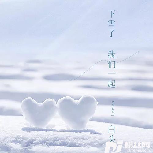 下雪了我们一起白头的专辑