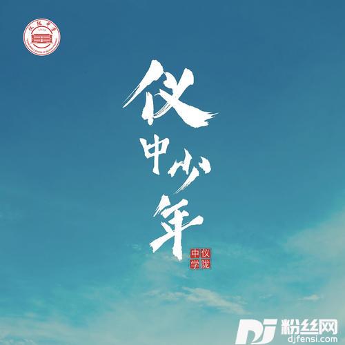 仪中少年