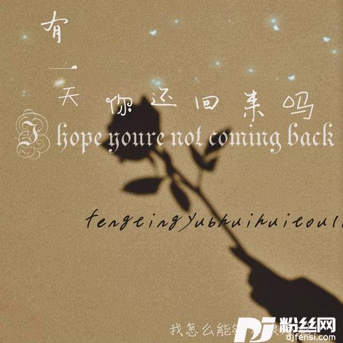 有一天你还回来吗的专辑