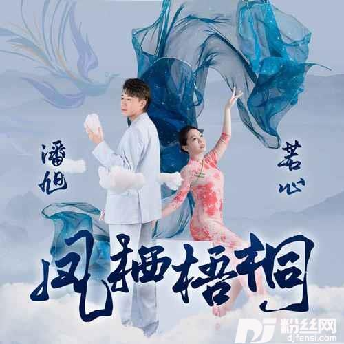 凤栖梧桐的专辑