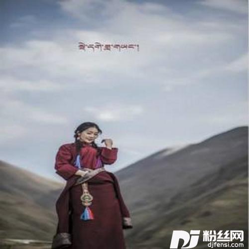 美丽的夏曲卡的专辑