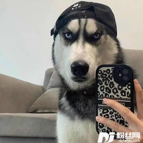 感谢你曾经来过的专辑