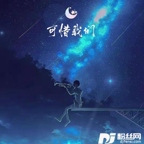 可惜我们