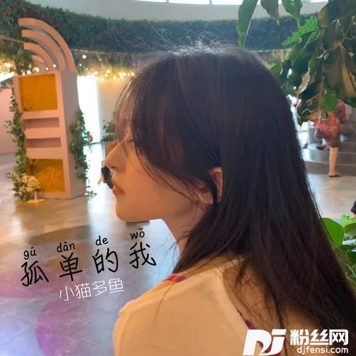 虚伪谎言DJ版