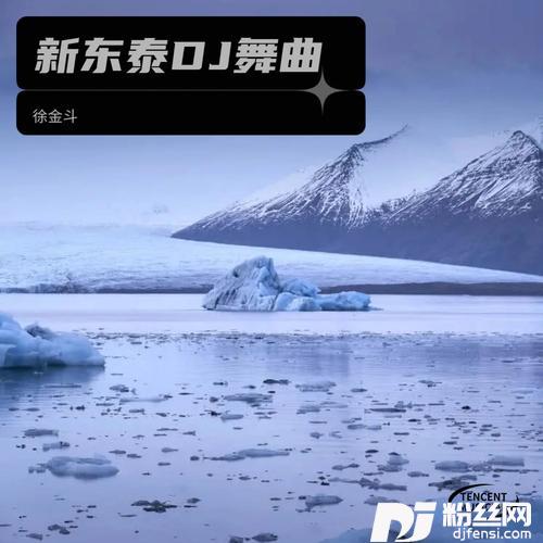 追求（DJ抖音热搜）