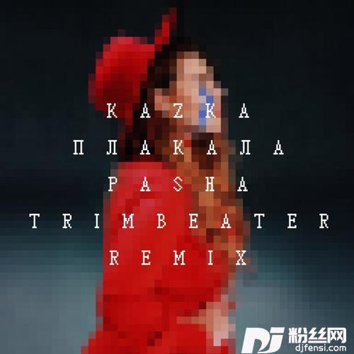 ПЛАКАЛАPashaTrimbeaterRemix