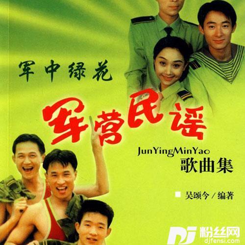 苦菜花开闪金光