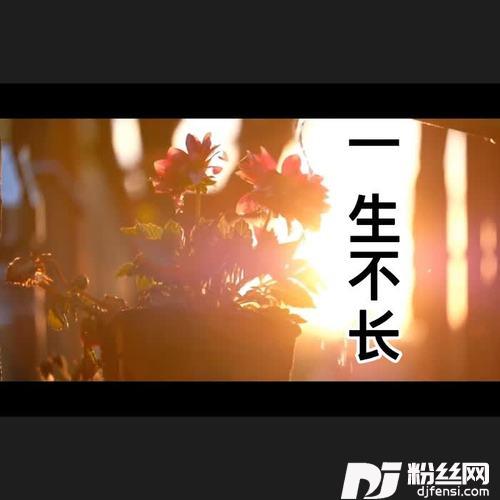 一生不长cover:杨小壮