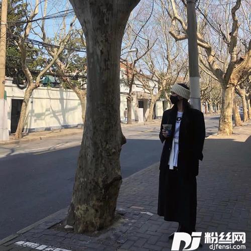 阿依莫越南鼓的专辑