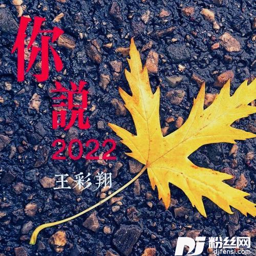 你说2022的专辑