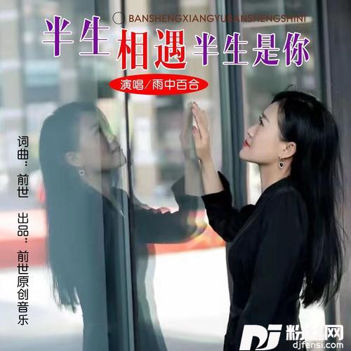 半生相遇半生是你DJ默涵版