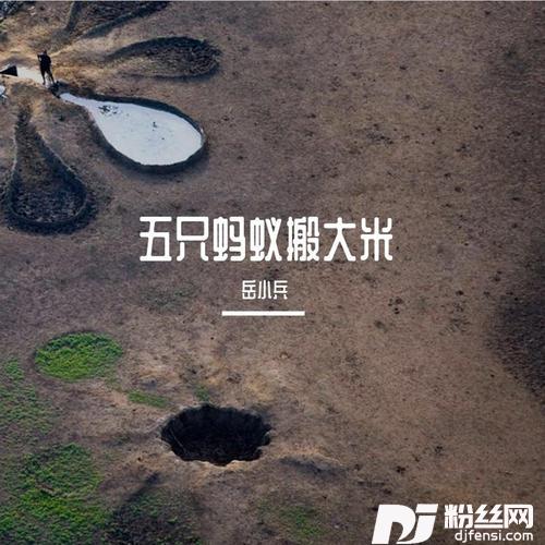 五只蚂蚁搬大米的专辑