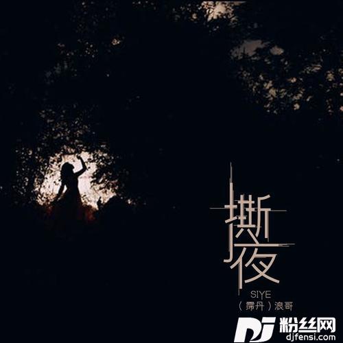 撕夜的专辑