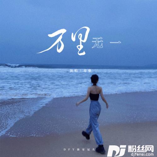 万里无一