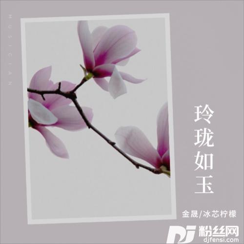 落在莲花上的蝶cover:云菲菲