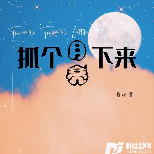 抓个月亮下来的专辑