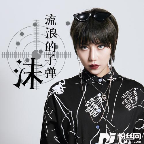流浪的子弹女声版Remix