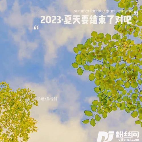 2023夏天要结束了对吧