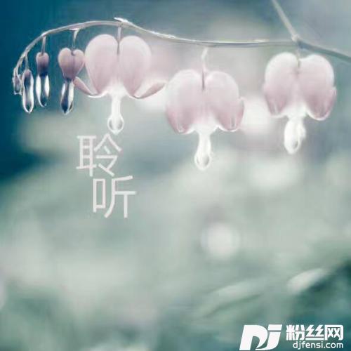 聆听你的声音（小帅版）