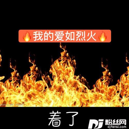 我的爱如烈火（魔怔版）的专辑