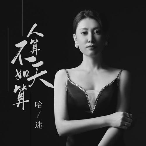 人算不如天算的专辑